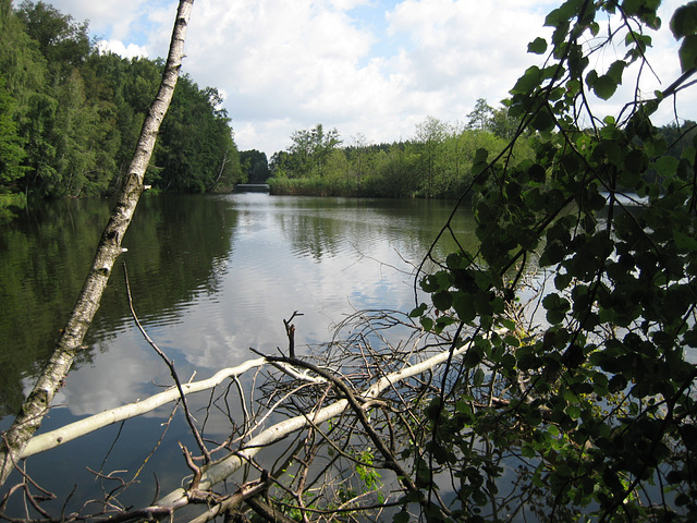 Gadsdorf - Waldsee (Torfstich)