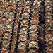 Detail of an Egyptian Wig Cover in the Metropolitan Museum of Art, December 2007