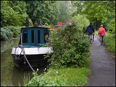 Hythe Bridge path in June