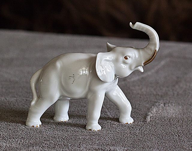20130702 2151RMw Elefant