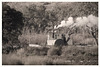 Small Murray River paddle steamer