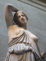 Detail of the Wounded Amazon in the Metropolitan Museum of Art,  July 2007