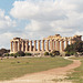 Temple E at Selinunte, 2005