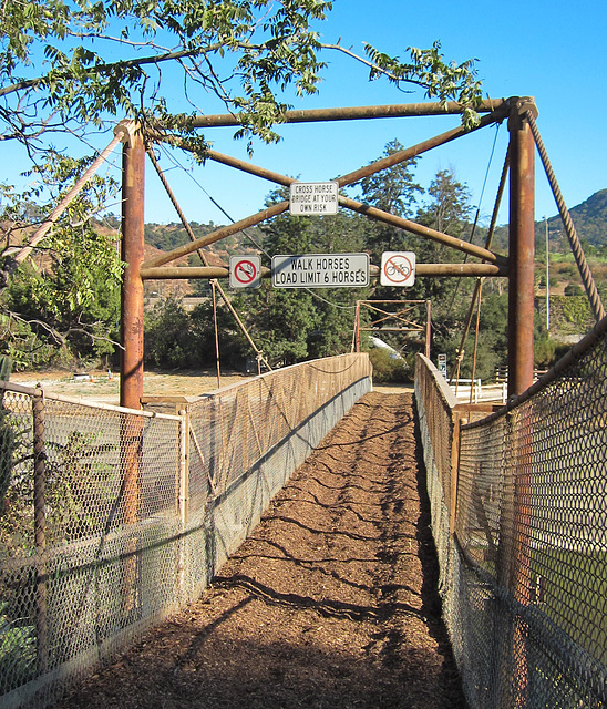 Burbank LA River horse bridge (3689)