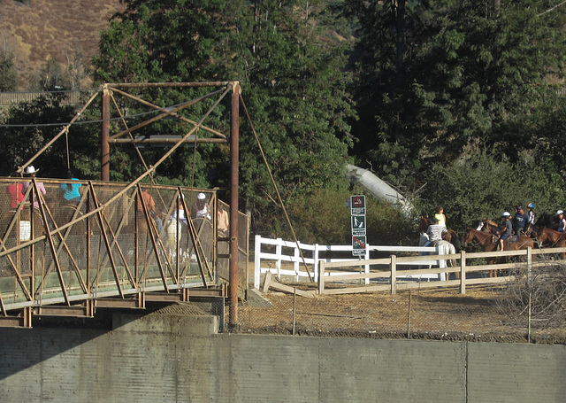 Burbank LA River horse bridge traffic jam (3694)