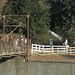 Burbank LA River horse bridge traffic jam (3694)