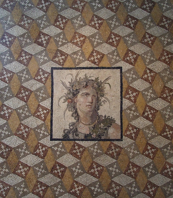 Detail of a Mosaic Floor Panel in the Metropolitan Museum of Art, September 2009