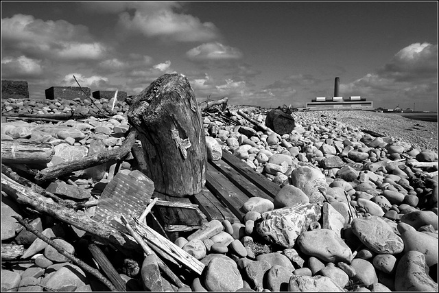 Driftwood