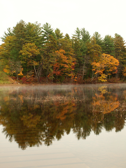 Ossipee River reflections