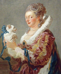 Detail of a Portrait of a Woman with a Dog by Fragonard in the Metropolitan Museum of Art,  March 2011