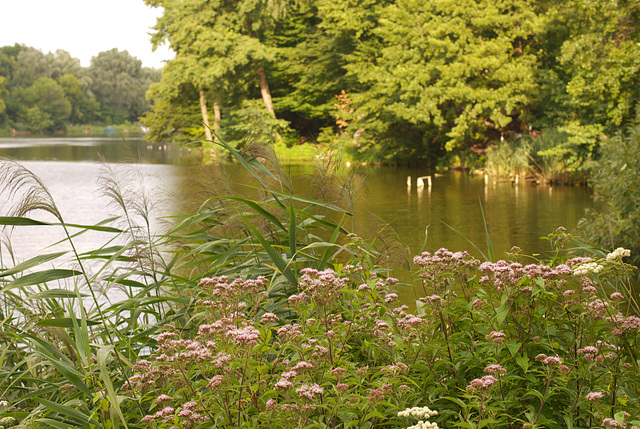 beim Stausee Didoriwka