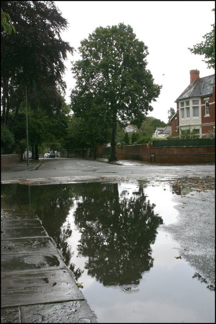 urban lake