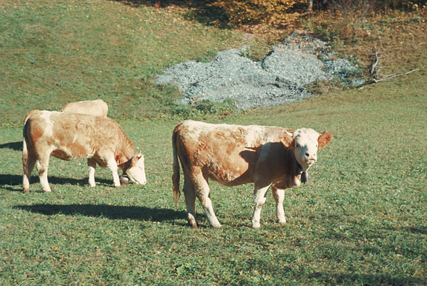 Interlaken, Switzerland, in 1969 (031)