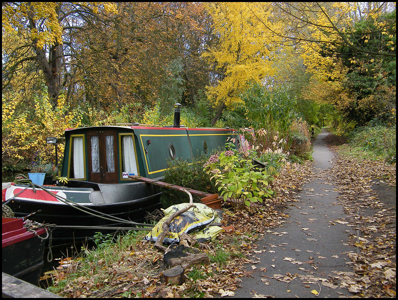 autumn mooring