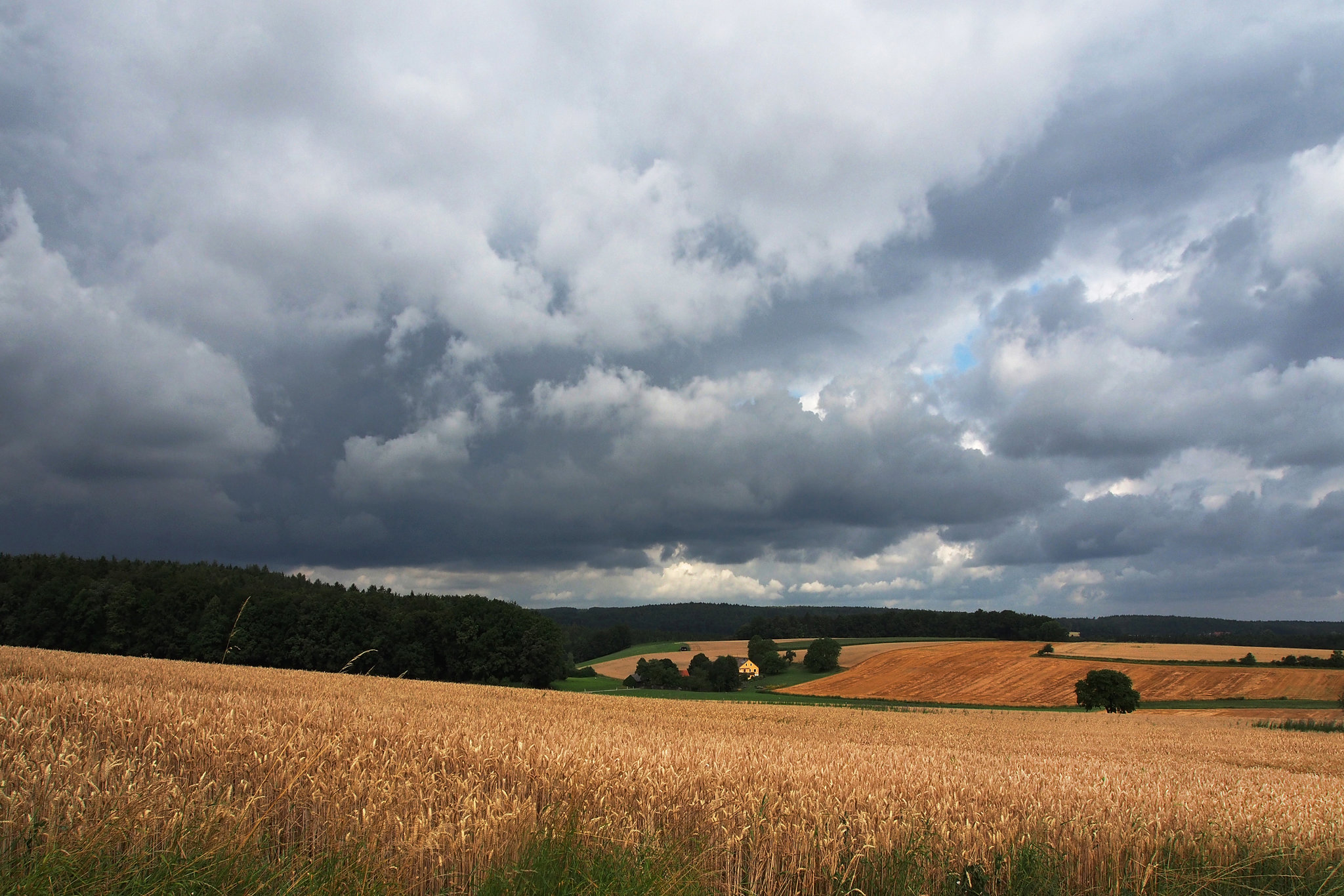 Gewitterwolken über dem Getreideland ~