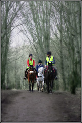 Riders in the woods