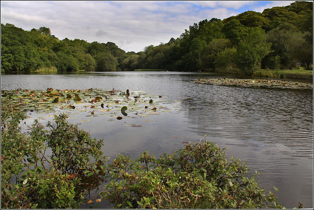 Eyeworth Pond