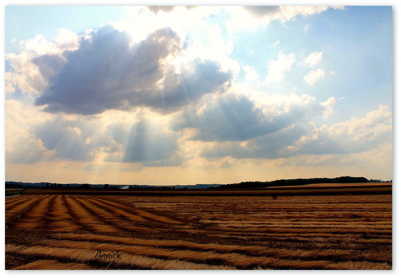 ciel de lin