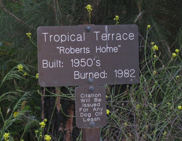 Malibu: Tropical Terrace (Solstice Canyon) 2208a