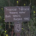 Malibu: Tropical Terrace (Solstice Canyon) 2208a