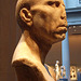 Marble Portrait of a Julio-Claudian Man in the Metropolitan Museum of Art, July 2007