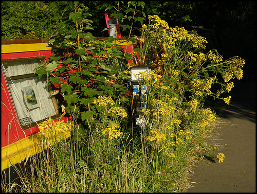 canalside habitat