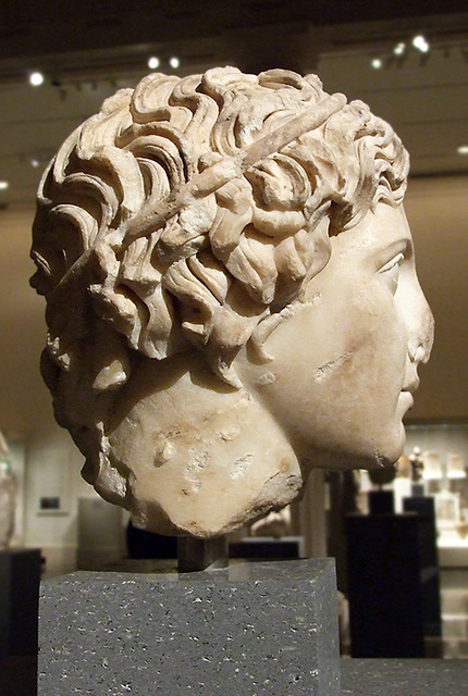 Marble Head of a Youth in the Metropolitan Museum of Art, February 2008