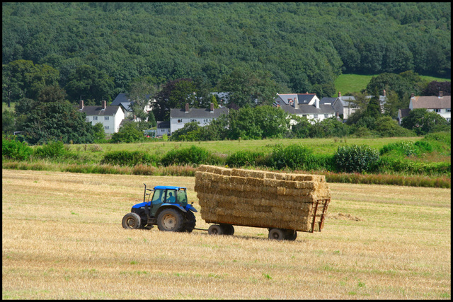 farming