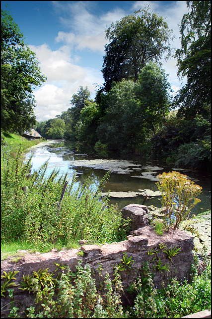 trout pond