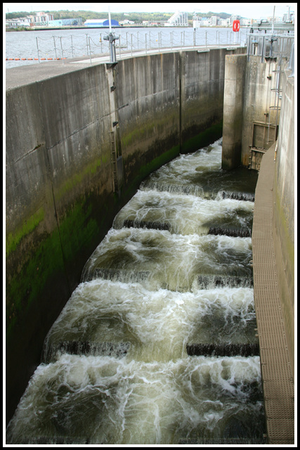 The Fish Pass