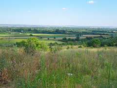 La plaine danubienne, 1