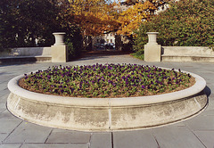 The Brooklyn Botanic Garden, Nov. 2006