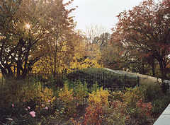 The Brooklyn Botanic Garden, Nov. 2006