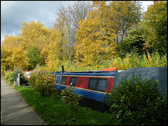 autumn at the moorings