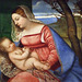 Detail of the Madonna and Child by Titian in the Metropolitan Museum of Art, August 2010
