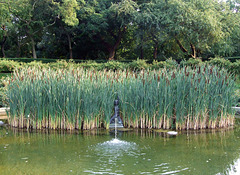 Rose Arc Pool in the Brooklyn Botanic Garden, July 2008