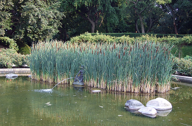 Rose Arc Pool in the Brooklyn Botanic Garden, July 2008