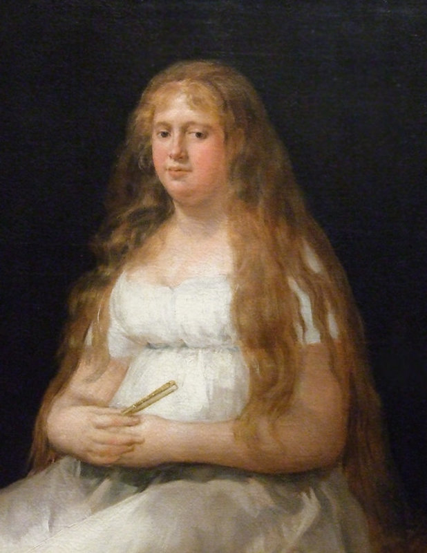 Detail of Josefa de Castilla Portugal y van Asbrock de Garcini by Goya in the Metropolitan Museum of Art, December 2010