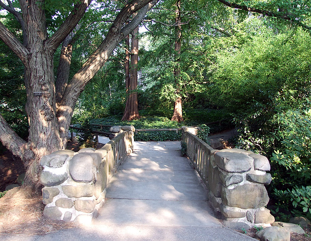 Stone Footbridge in the Brooklyn Botanic Garden, July 2008