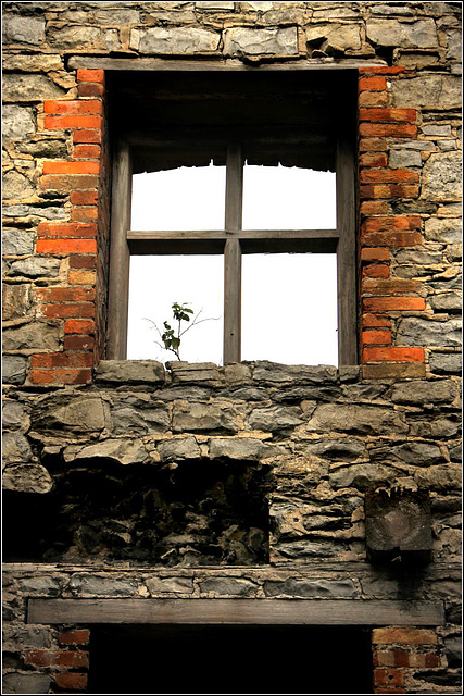 Window frame