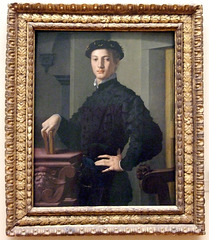 Portrait of a Young Man by Bronzino in the Metropolitan Museum of Art, December 2007