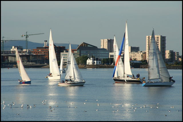 Racing in the Bay