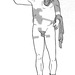 Reconstruction Drawing of a Statue of Trebonianus Gallus in the Metropolitan Museum of Art, July 2007