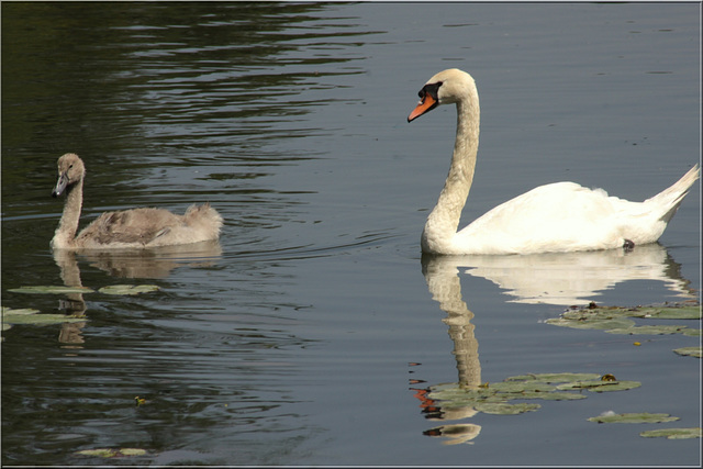 Canal Saint Jean