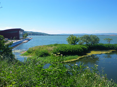 Le Danube est une mer 2