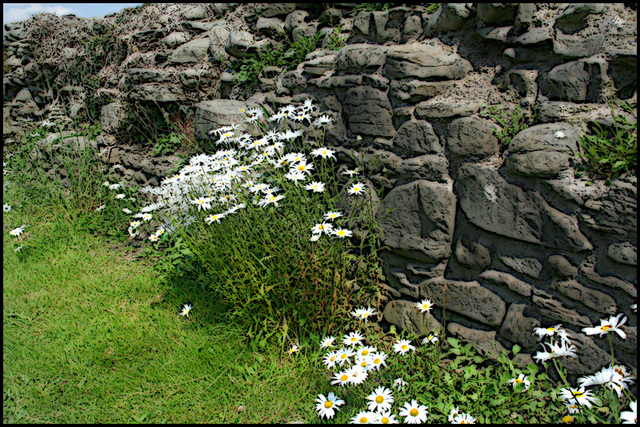 stone wall