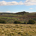 Dartmoor