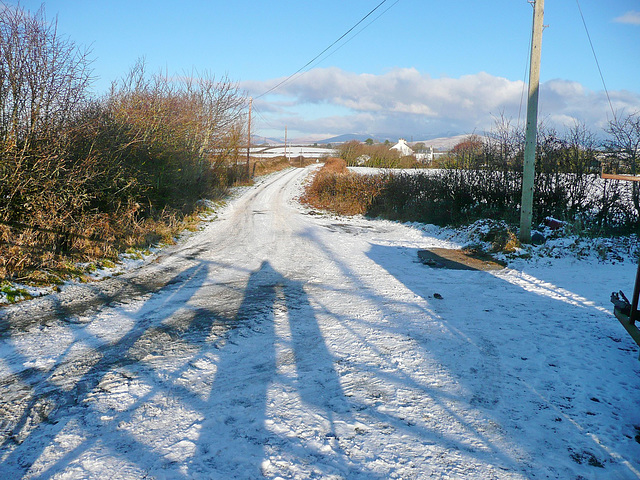 Saltcoats Lane