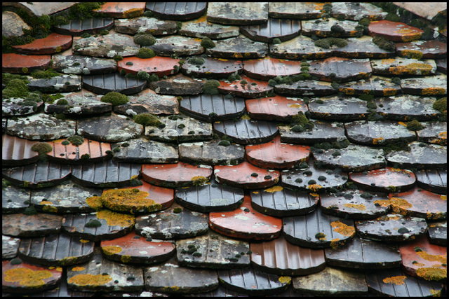 roof tiles