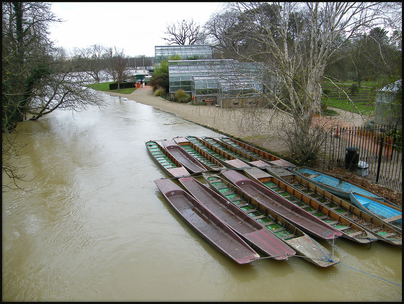 high water at botanical garden